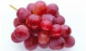 GRAPES -IMPORTED RED GLOBE