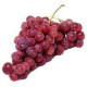 GRAPES  INDIAN FLAME SEEDLESS