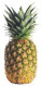 PINEAPPLE PHILIPPENE IMPORTED